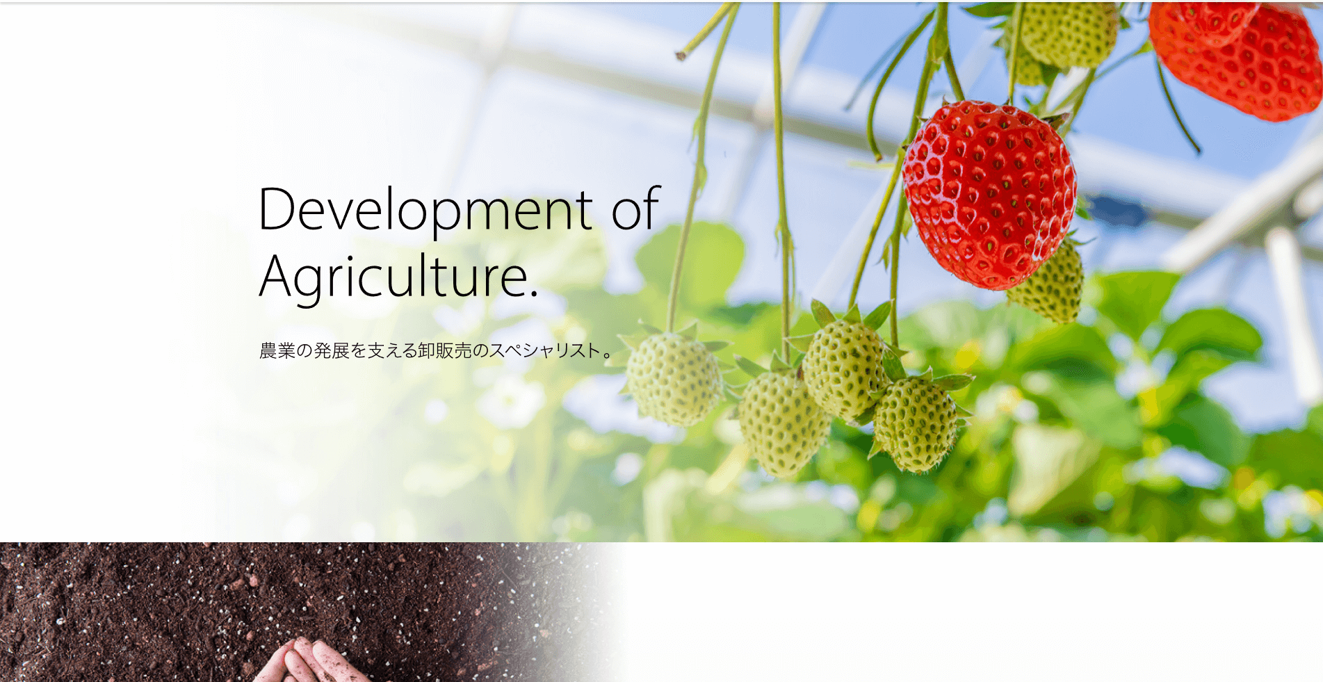 仙台農産株式会社（宮城県岩沼市）